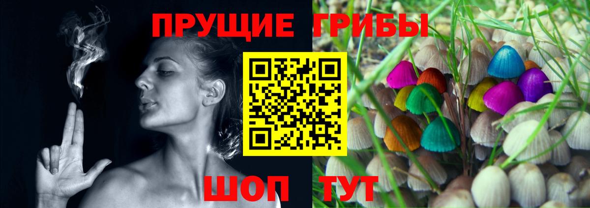 Галлюциногенные грибы прущие грибы  где найти   Новочеркасск  Вход с VPN 